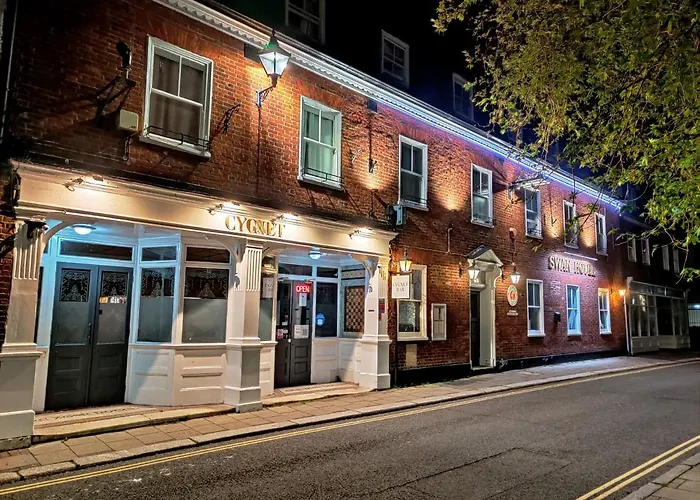 Swan